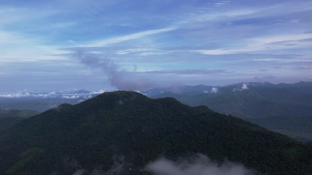 mist covered tropical rainforest with morning fog rolling over lush green canopy in Kerala