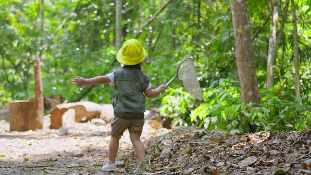 A young child explorer with a net stands on a forest trail, observing a swarm of butterflies as part of an experiential learning adventure in nature.