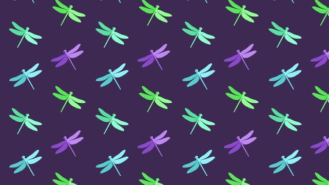 Dragonfly colorful background animated Full HD video