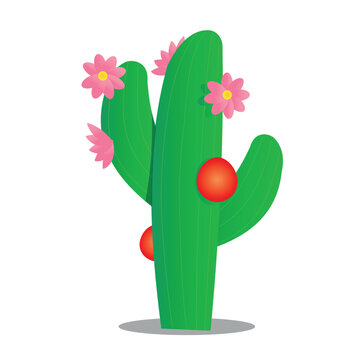 Nordeste brasileiro - Mandacar&uacute; florado