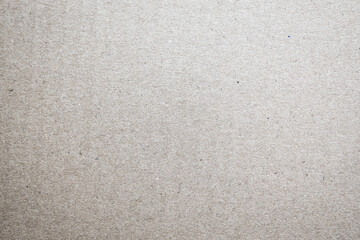 Fototapeta premium Light beige background. Textured background.