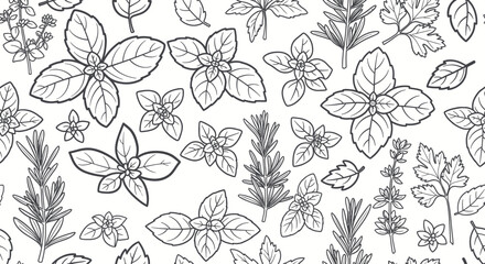 Obraz premium Seamless pattern with hand-drawn culinary herbs and spices line art