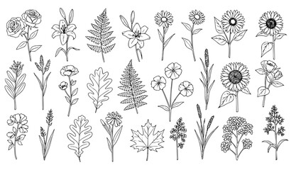 Fototapeta premium Floral silhouette vector set flowers leaves black white botanical icons