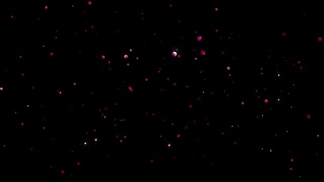 Transparent bubbles rising slowly with soft reflections and smooth motion, seamless loop animation on black background for liquid overlay compositing