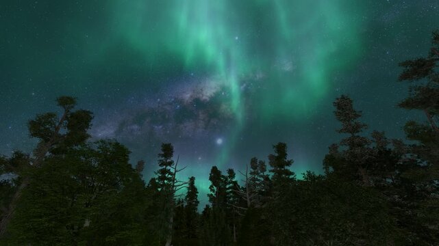 Color Aurora borealis forest starry sky night nature bg 4k