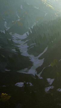 A valley in the mountains shows patches of snow. Trees grow along the slopes. Sunlight shines through branches. Some leaves are yellow, suggesting the change of seasons.