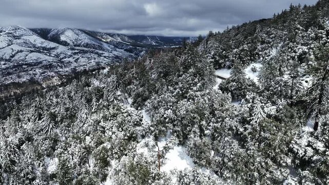 The California San Gorgonio San Bernardino Mountain Range near the Santa  Ana Watershed covered in snow along SR 38 through the Mountain Pass