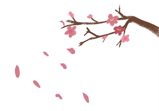 A branch of a blossoming cherry tree. An animation of falling petals