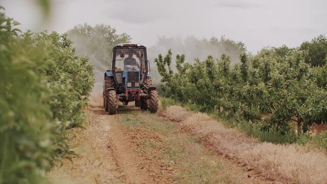 Blue Tractor in Orchard, Rural Farming Footage.