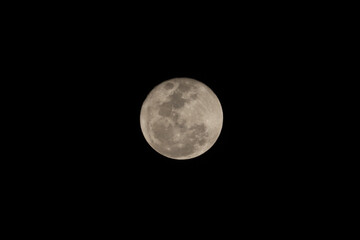 Fototapeta premium The moon glows softly in the night sky, casting a gentle light over the landscape and illuminating the darkness with its calm and timeless presence