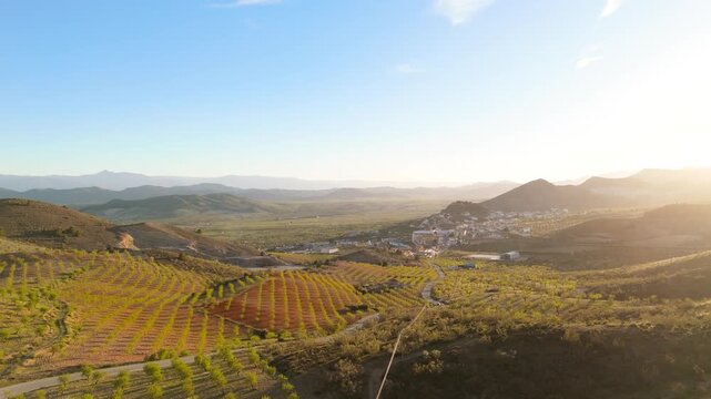 Vista a&eacute;rea de campos de almendros y el pueblo de Oria al atardecer. Paisaje rural en el Valle del Almanzora, Almer&iacute;a. 