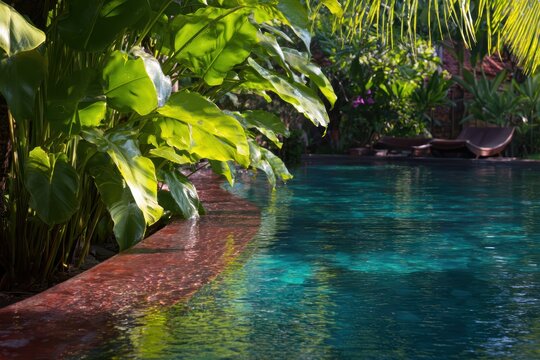 緑の植物と水のある晴れたプールサイドの景色
