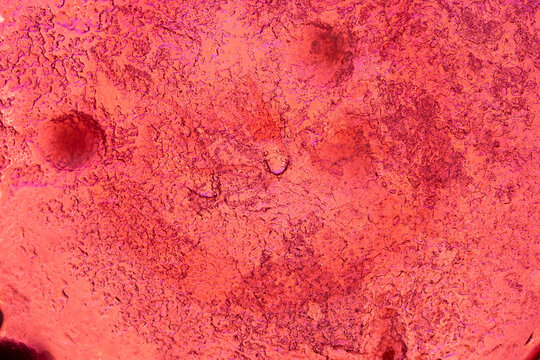 textura para fondo rojo con irregularidades &aacute;speras brillante