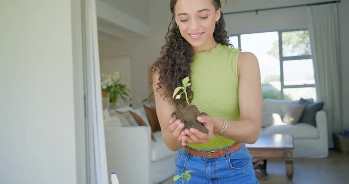 African American woman scooping soil then holding seedling, inspecting roots for planting at home