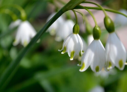 Blooming is just part of staying alive