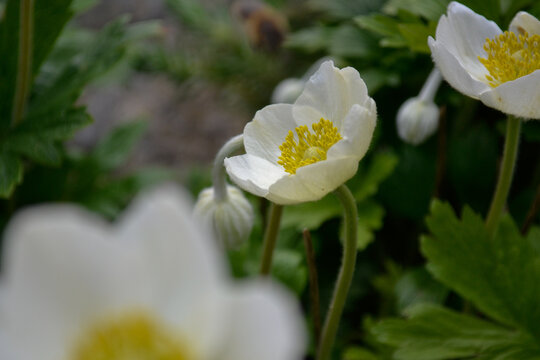  Survival is happening in every small detail