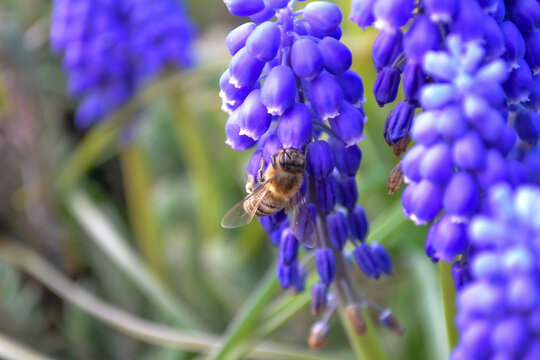 Nature is not soft, just efficient