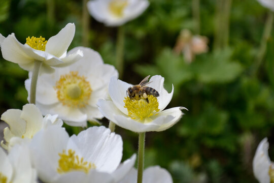 Blooming doesn&rsquo;t require permission from anyone