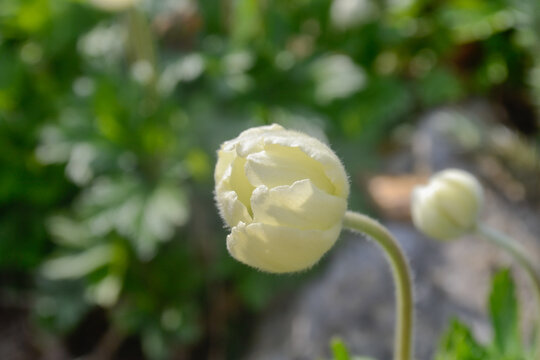 A reminder that growth takes patience and time