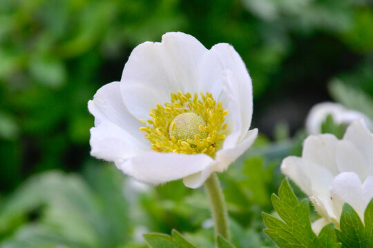 Simple things doing exactly what they should