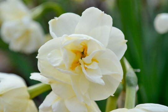 Beauty that exists without asking for attention