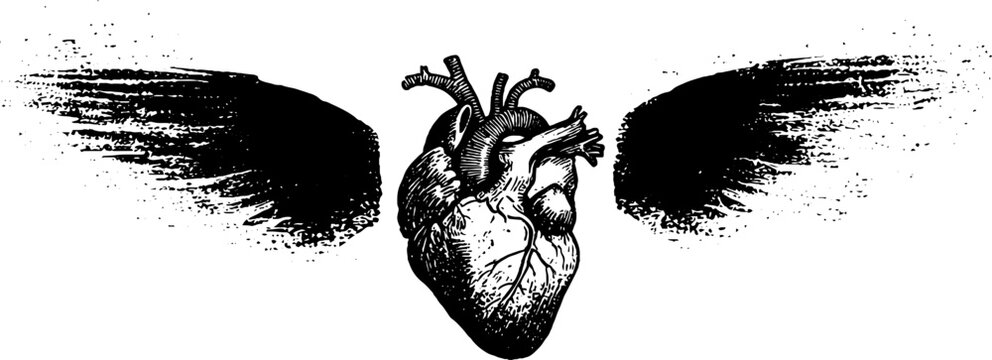 Anatomical heart with gritty brush wings high contrast black and white ink for tattoo design and background