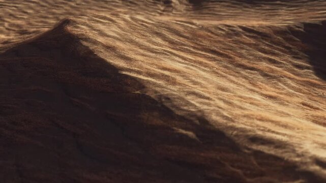 Desert greening Desert management Water droplets falling Plant growth environment Opening title