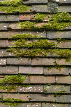 Background texture of old moss covered red clay roof tiles