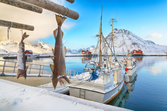 Unbelivable winter sunrise over Ramberg village and harbour.