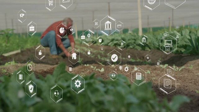 Farmer kneeling tending plants in greenhouse, sensor making hex icons on hands showing analytics
