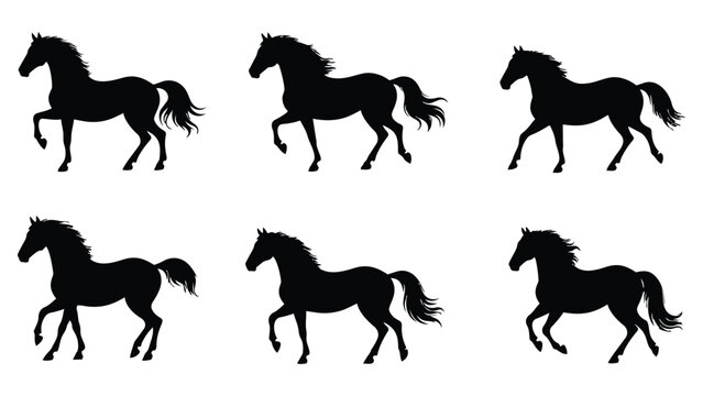 Set of horse silhouettes vector illustration collection featuring running wild and farm horses including stallion, pony, mustang, and race horse designs