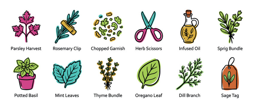 Colorful hand-drawn icon set of culinary herbs including parsley, basil, rosemary, and mint with kitchen accessories like scissors and infused oil in a simple doodle style