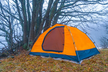 closeup red touristic tent stay on forest glade in dense blue mist © Yuriy Kulik