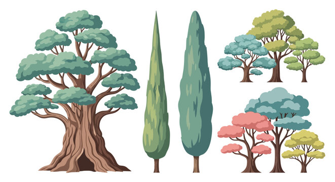 A variety of trees with different shapes and colors.
