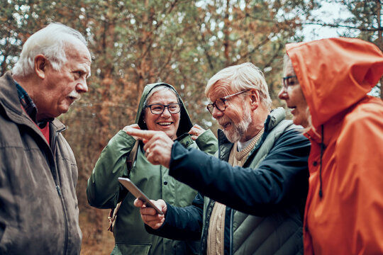 Senior friends using smartphone for directions on forest trail