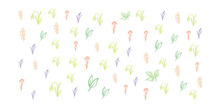colorful floral seamless pattern design, botanical doodle repeat background, minimal spring flower texture on light background