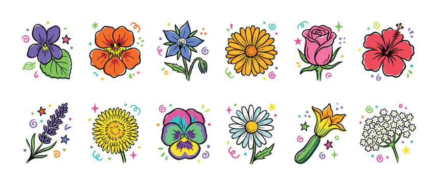 Colorful collection of twelve edible flowers including rose, lavender, pansy, and hibiscus drawn in a cute, playful doodle style with decorative stars and swirls