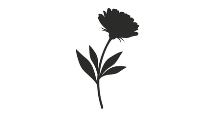 A striking silhouette of a single flower with delicate leaves © sahidabegum