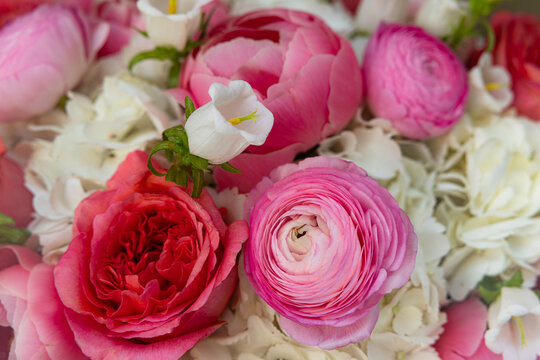 Beautiful bouquet of pink ranunculus roses and white hydrangeas macro