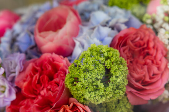 Macro shot of colorful flower bouquet with roses and green hydrangea