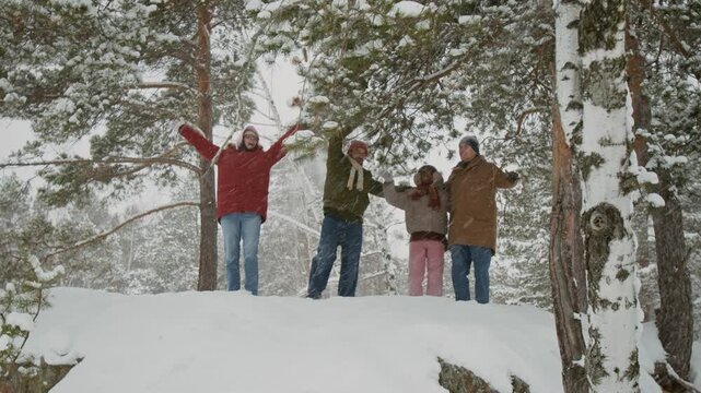 Wide view of four carefree gen Z friends enjoying winter walk in park, two men shaking snow-covered branches of pine tree