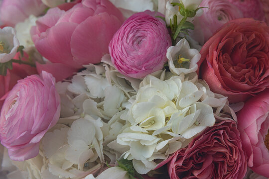 Macro bouquet of pink peonies ranunculus and white hydrangeas