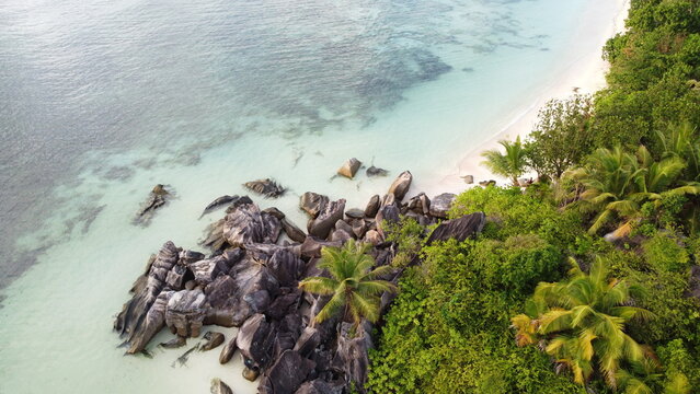 Aerial view of dark granite rocks, palm trees, and clear turquoise sea along a lush tropical coast.