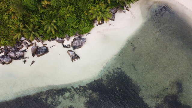 Top-down drone view of white sand shoreline, dark rocks, and clear shallow water beside lush green vegetation.