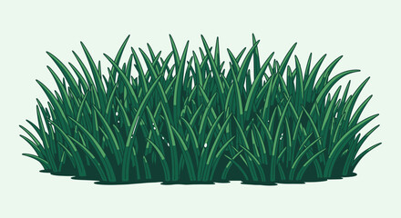Fototapeta premium Green Grass Bush Isolated On White Background - Lush Foliage Illustration