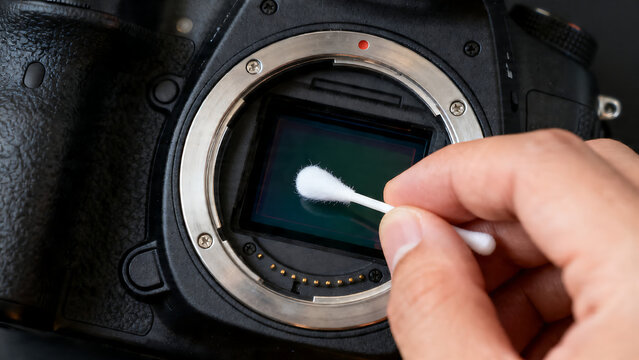 Professional camera sensor cleaning with cotton swab, digital SLR maintenance and repair, technician hand cleaning mirrorless camera sensor isolated on White Background