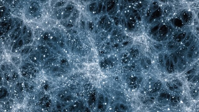 Cosmic Web of Galaxies and Dark Matter
