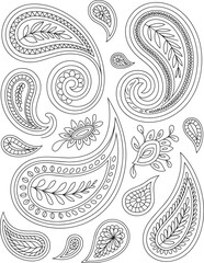 Obraz premium Hand drawn collection of detailed paisley design elements and swirly decorative floral ornaments with black