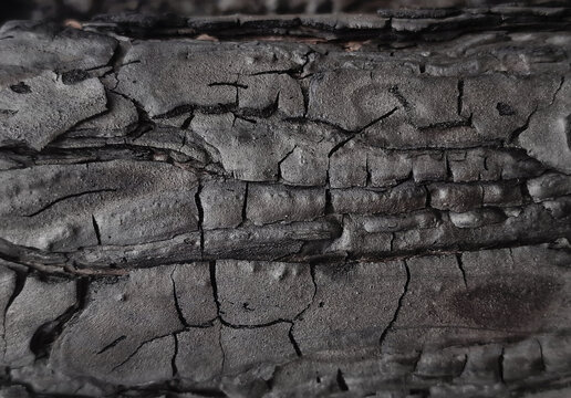Charred wood closeup carbon background