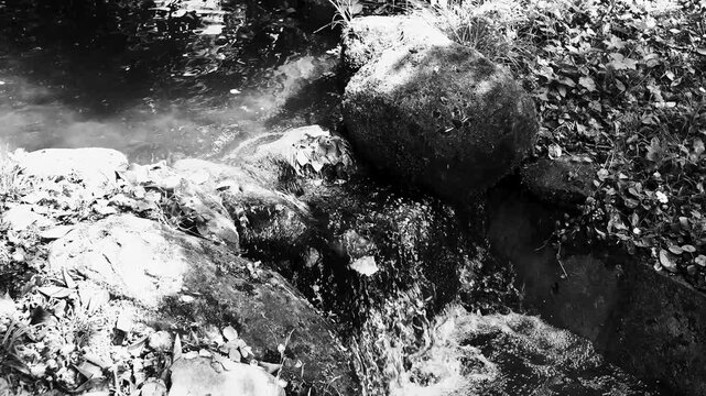 A small creek in close up with a small waterfall, nature scenery, water spring in the mountains